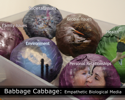 Babbage Cabbage